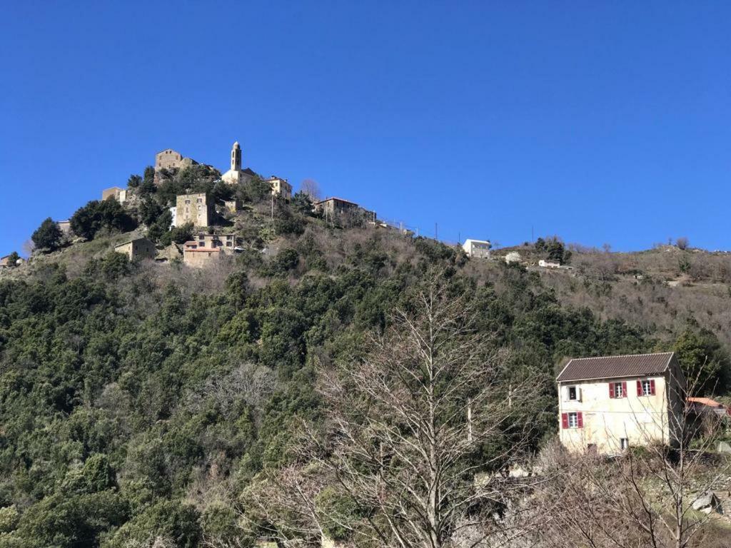 Camping L'Agrottu Au Coeur De La Corse Santa-Lucia-di-Mercurio المظهر الخارجي الصورة