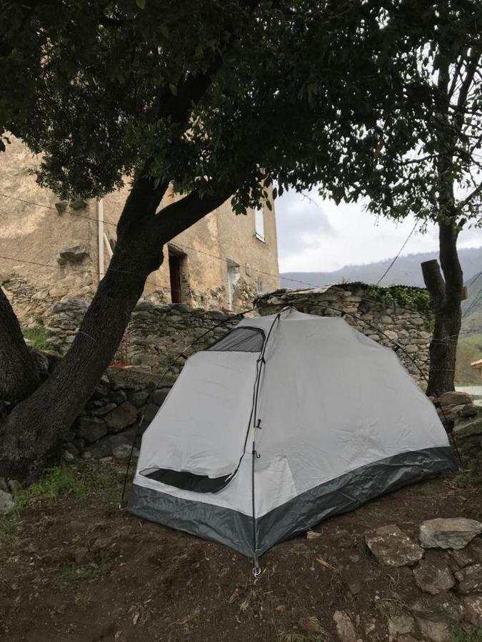 Camping L'Agrottu Au Coeur De La Corse Santa-Lucia-di-Mercurio المظهر الخارجي الصورة