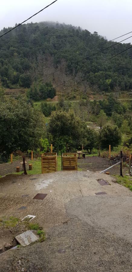 Camping L'Agrottu Au Coeur De La Corse Santa-Lucia-di-Mercurio المظهر الخارجي الصورة